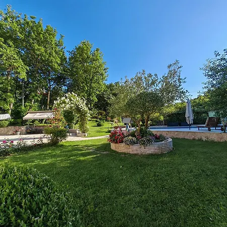 Estera Villa Grubine